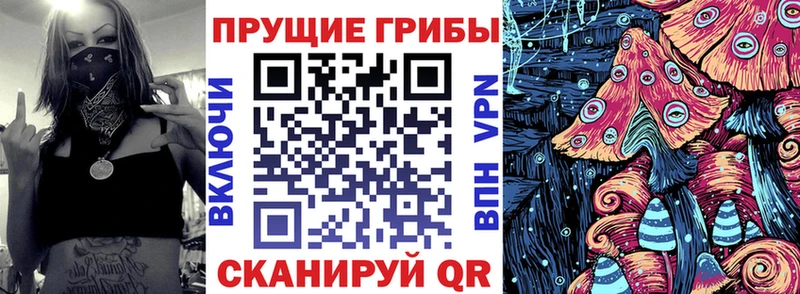 Купить где  Мариинск  Галлюциногенные грибы прущие грибы 